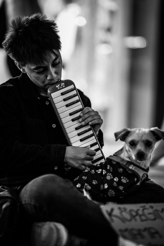 menu-06 Black and white photo of a street musician playing a melodica with a dog in Ankara.